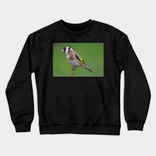 Goldfinch Crewneck Sweatshirt